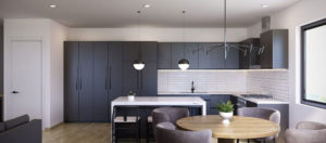 STUDIO-Architecture-Cassidy-Interior-Kitchen